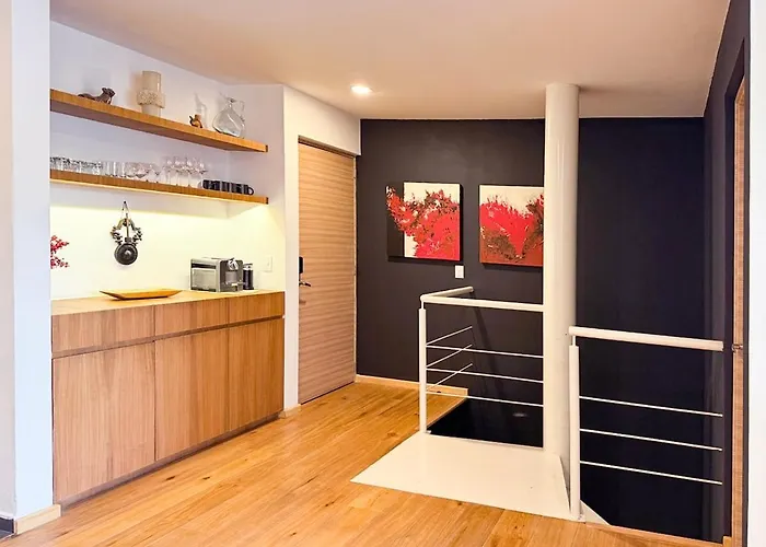 Spacious And Bright 3-bedroom In Roma Norte