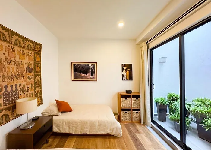 Spacious And Bright 3-bedroom In Roma Norte
